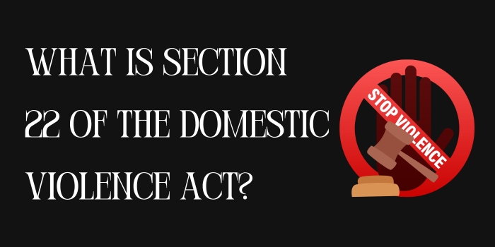 Section 22 of the Domestic Violence Act